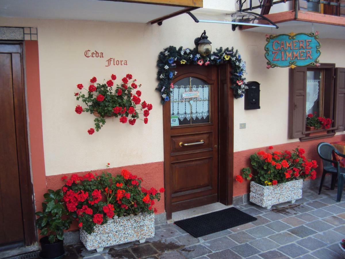 La Casa Di Beppe Appartamento E Camere Danta Exteriér fotografie